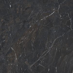 № 219 Витория